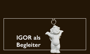 IGOR Begleiter IGOR Begleiter