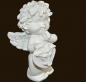 Preview: IGOR Sternzeichen Stier