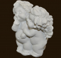 Preview: IGOR Sternzeichen Zwilling